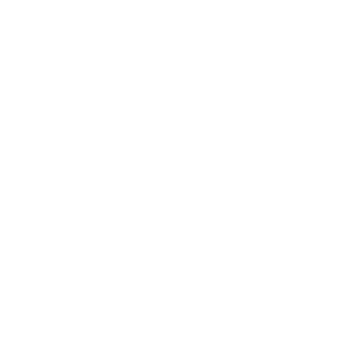 BC Logo Icon White